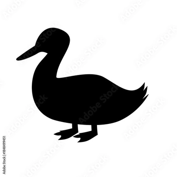 Obraz Duck Silhouette 