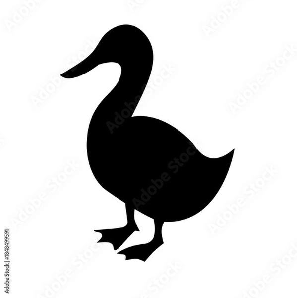 Obraz Duck Silhouette 