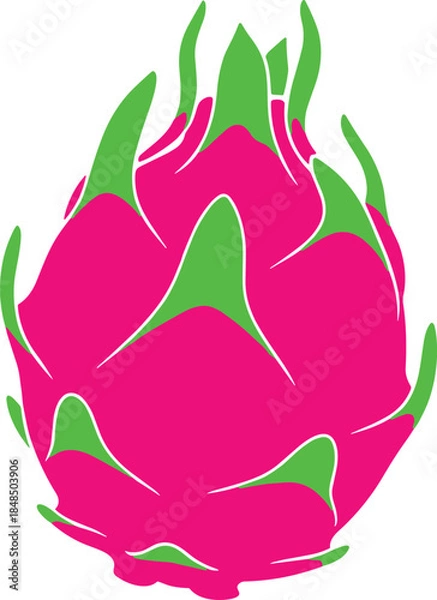 Fototapeta Bright pink dragon fruit vector illustration, tropical exotic pitaya with green scales, flat minimal fruit design isolated on white background