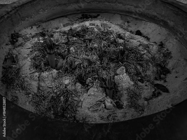 Obraz お寺の常香炉で焚かれた線香 白黒写真素材