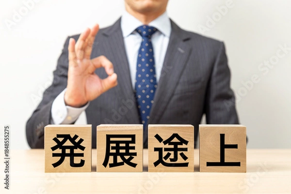 Fototapeta 「発展途上」と書かれたブロックとOKポーズをするビジネスマン