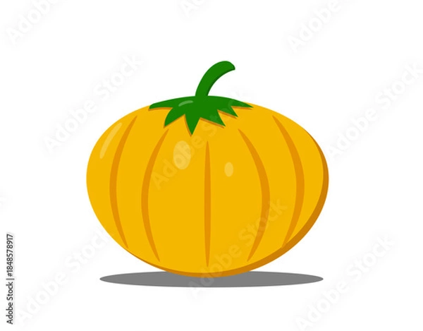 Fototapeta orange pumpkin on a white background,