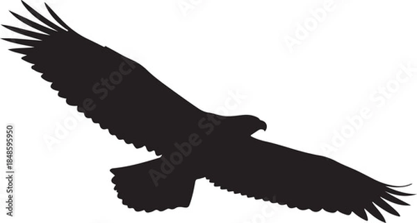 Obraz Eagle Soaring with Wings Spread Silhouette