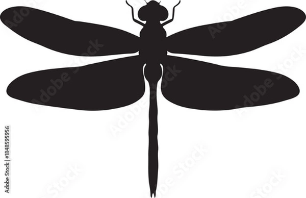 Obraz Dragonfly Silhouette