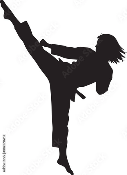 Obraz Martial Artist High Kick Silhouette
