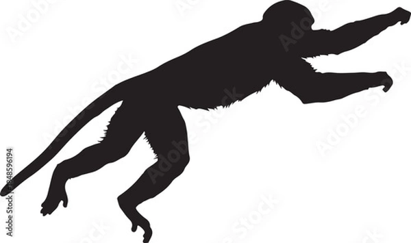 Fototapeta Monkey Silhouette