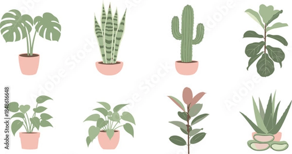 Obraz Collection of indoor potted plants