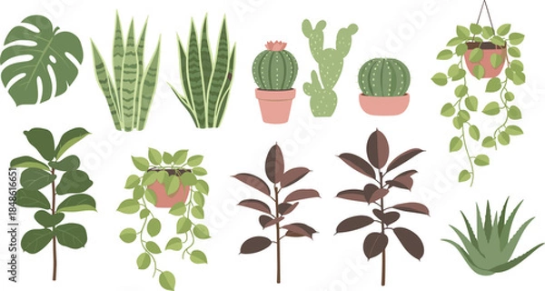Obraz Collection of various houseplants