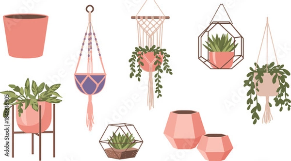 Obraz Assorted indoor plant pots and hangers