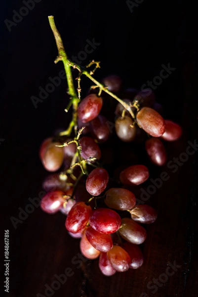 Obraz Fresh Grape Bunch On Table