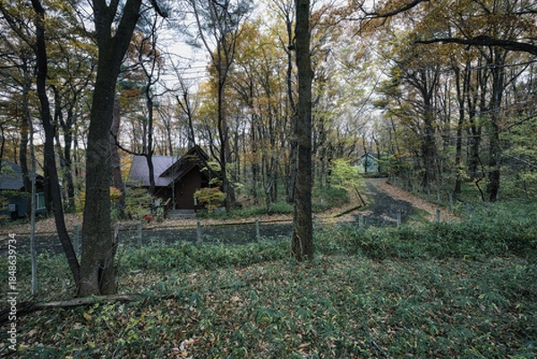 Obraz 窓越しに見える美しい秋の風景