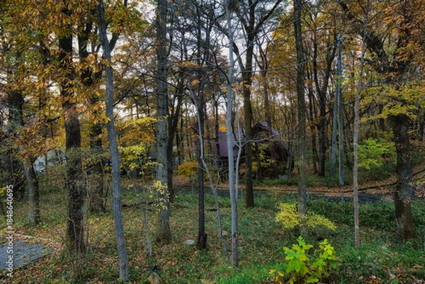 Obraz 窓越しに見える美しい秋の風景