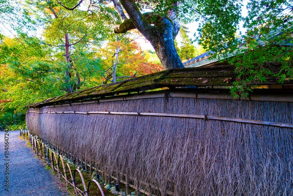 Obraz 京都、宝厳院のたけほがき