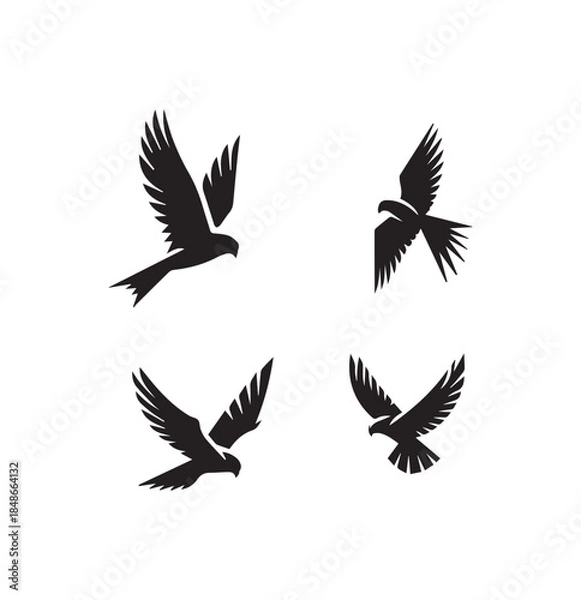 Obraz Falcon Diving Silhouette