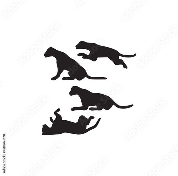 Obraz Snow Leopard Walking