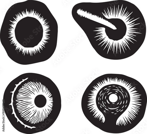 Fototapeta Abstract radial patterns on a transparent background, digital art illustration