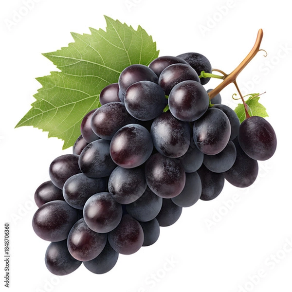 Fototapeta Dark Grapes Cluster Isolated on Transparent Background PNG