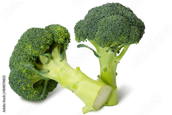 Fototapeta Fresh broccoli heads with vibrant green florets on a white background for healthy cooking options