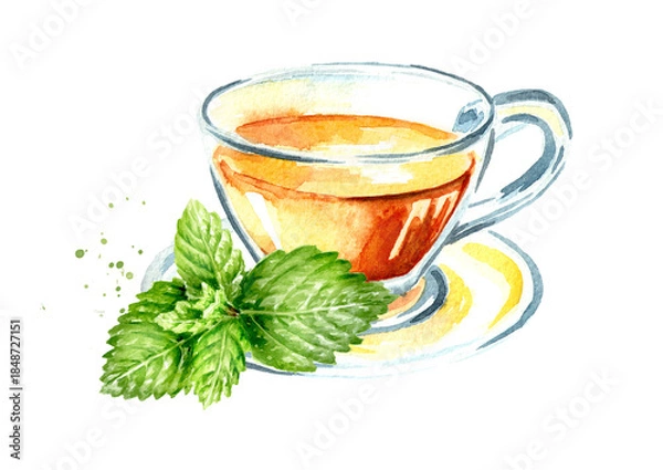 Obraz Herbal Tea with Mint leaves. Hand drawn watercolor illustration, isolated on white background