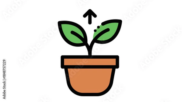 Obraz Growing Plant in Pot