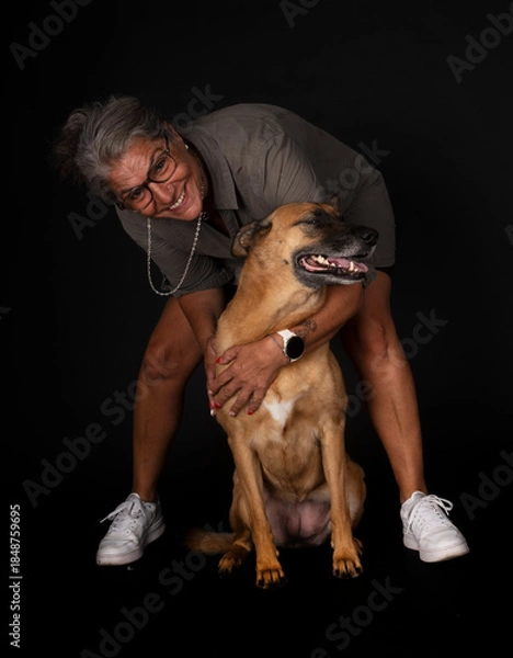 Obraz malinois in studio