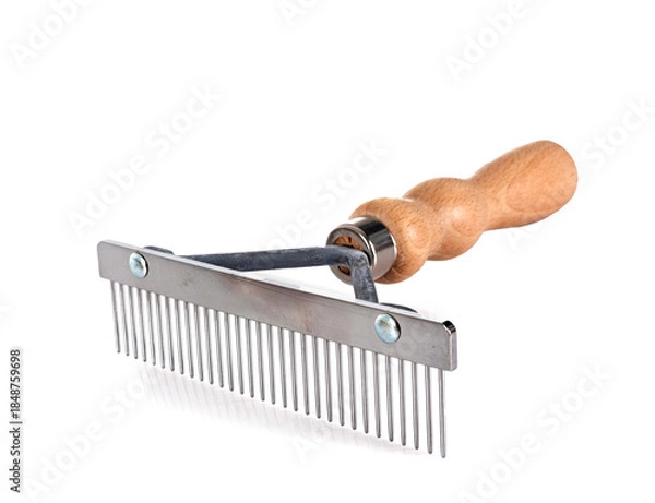 Obraz dog trimming equipment