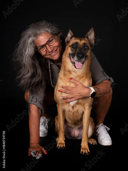 Obraz malinois in studio