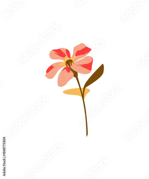 Obraz red flower isolated on white background