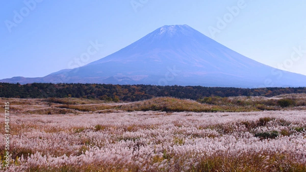 Obraz 朝霧高原から見た富士山
