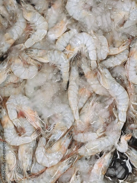 Obraz Close-Up of Fresh Raw White Shrimp (Prawns) on Crushed Ice at a Seafood Market or Supermarket Display