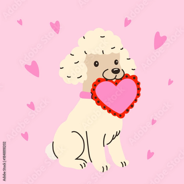 Fototapeta Sweet poodle carrying a heart on a pink background