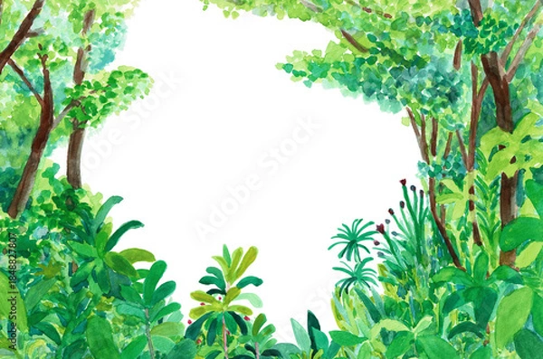 Obraz 手描きイラスト　生い茂る植物のトンネル