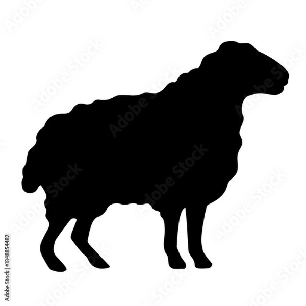 Obraz Sheep animal vector cartoon