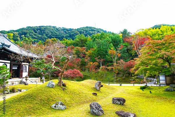 Obraz 京都、高台寺の庭園