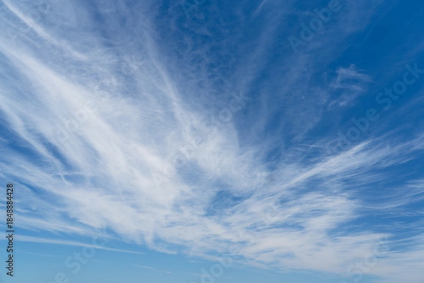 Obraz WIspy clouds and blue sky suitable for background or sky replacement