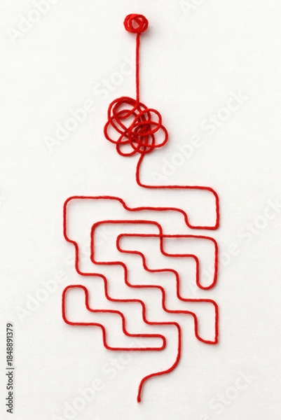 Obraz Red Yarn in a Labyrinthine Pattern on White Background