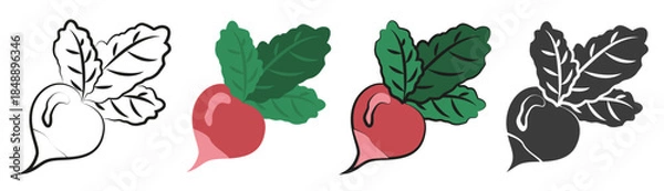 Fototapeta A set of radish icons in different styles outline, color, silhouette.