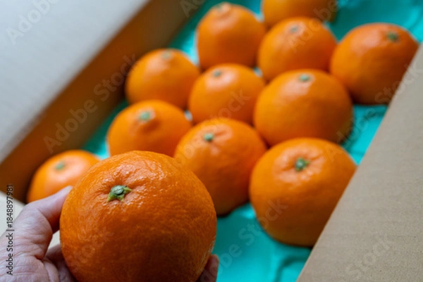 Obraz 日本の産地直送箱入りみかん