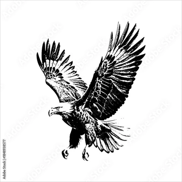 Obraz Majestic eagle in flight illustration