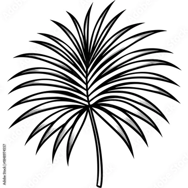 Obraz palm tree silhouette