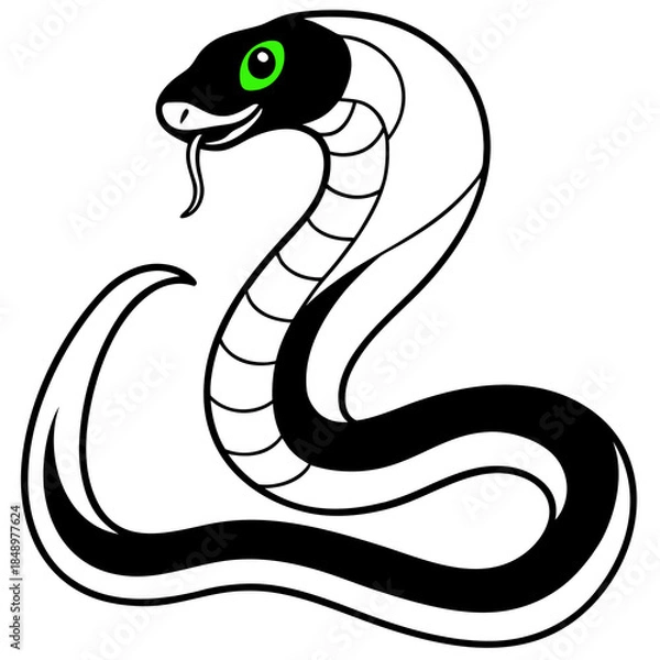 Obraz snake vector illustration