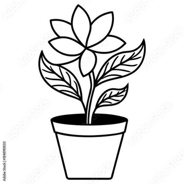 Obraz plant in pot