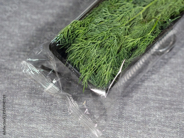 Fototapeta Packaging with fresh dill. Fresh herbs and spices. Bunch of dill. Spice for different dishes