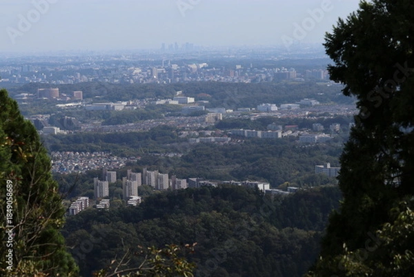 Obraz 東京の街並み
