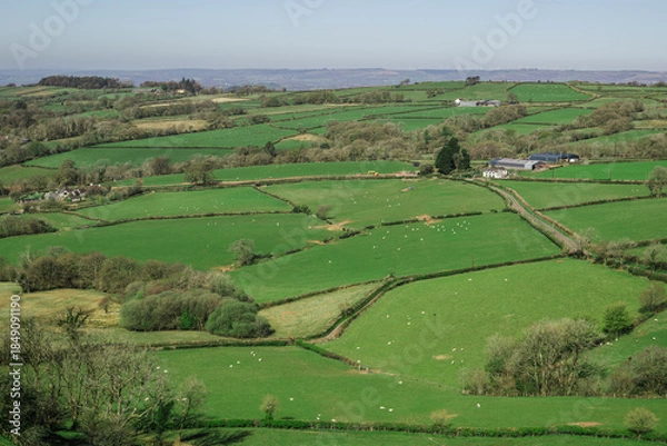 Obraz A northward view from Carreg Cennen Castle in Carmarthenshire, Wales, overlooking a rural landscape of rolling green fields dotted with scattered farm buildings