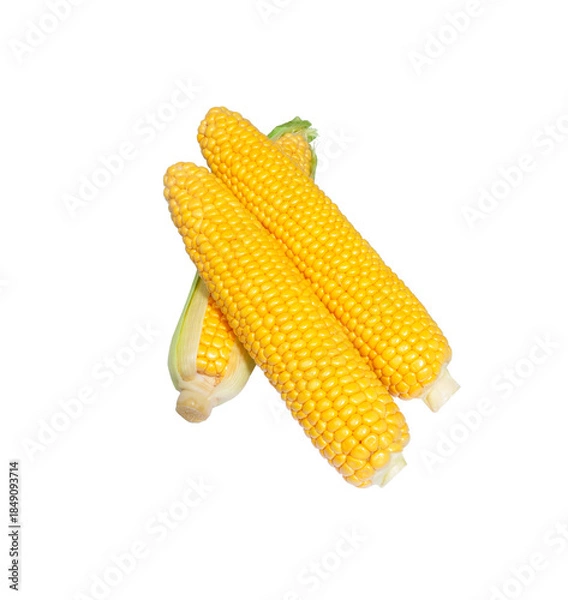 Obraz Corn cob isolated.  Sweet corn.