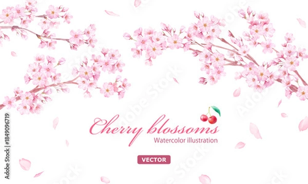 Obraz 桜と散る花びらの水彩イラスト。アーチ型フレームデザイン。背景。（ベクター）


