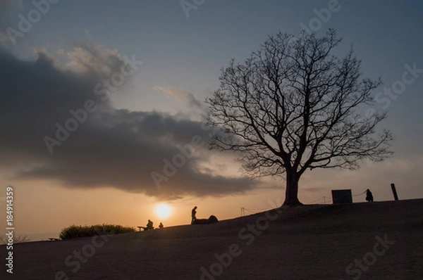 Obraz 公演の夕景