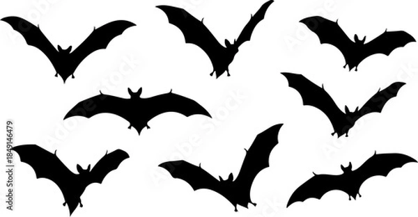 Obraz Flying Bat Silhouettes Collection