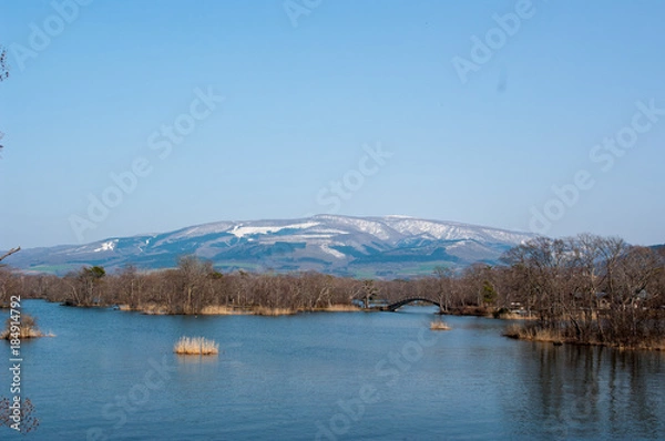 Obraz 大沼の小島